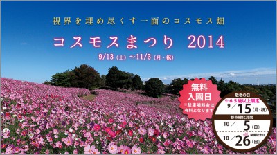 コスモス昭和記念公園 400x223 「秋桜（コスモス）」を見て、秋を感じよう♡