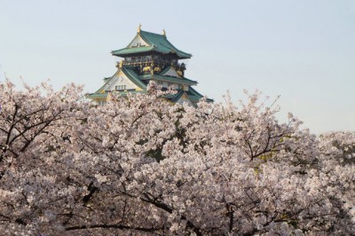 人気急上昇♡春の旅行先ランキングTOP10
