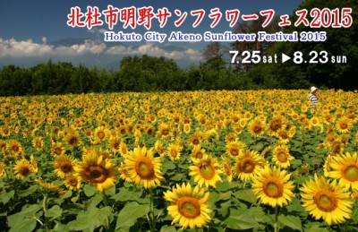 明野2015 400x259 真夏の向日葵を見に行こう！