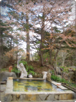 日光澤温泉 関東最後の秘湯で自然満喫と湯呑み