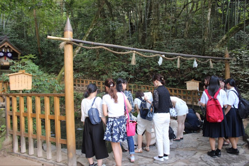 地元の方が本当におすすめする八重垣神社の鏡の池恋占い 女子旅 温泉メディア たびーじょ