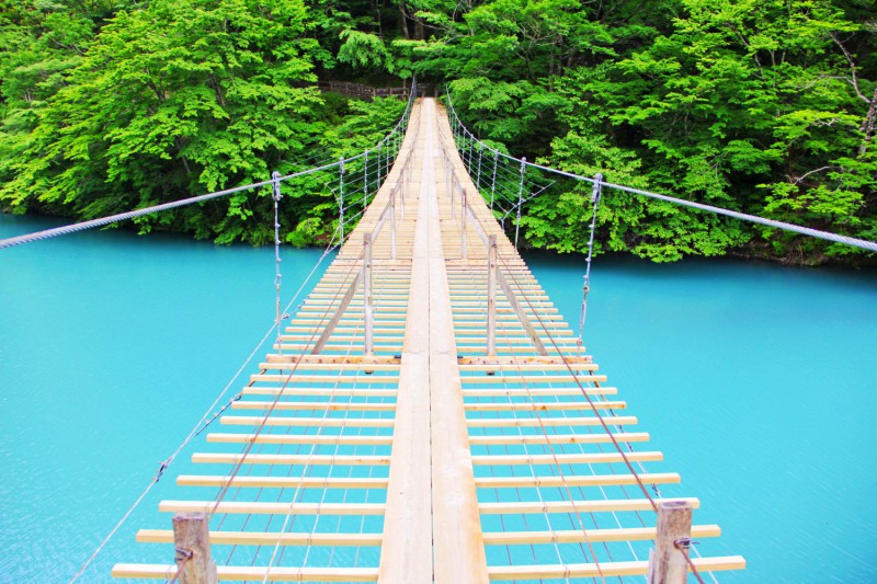 sumatakyo 夢の吊り橋　コバルトブルーは12月5日まで！